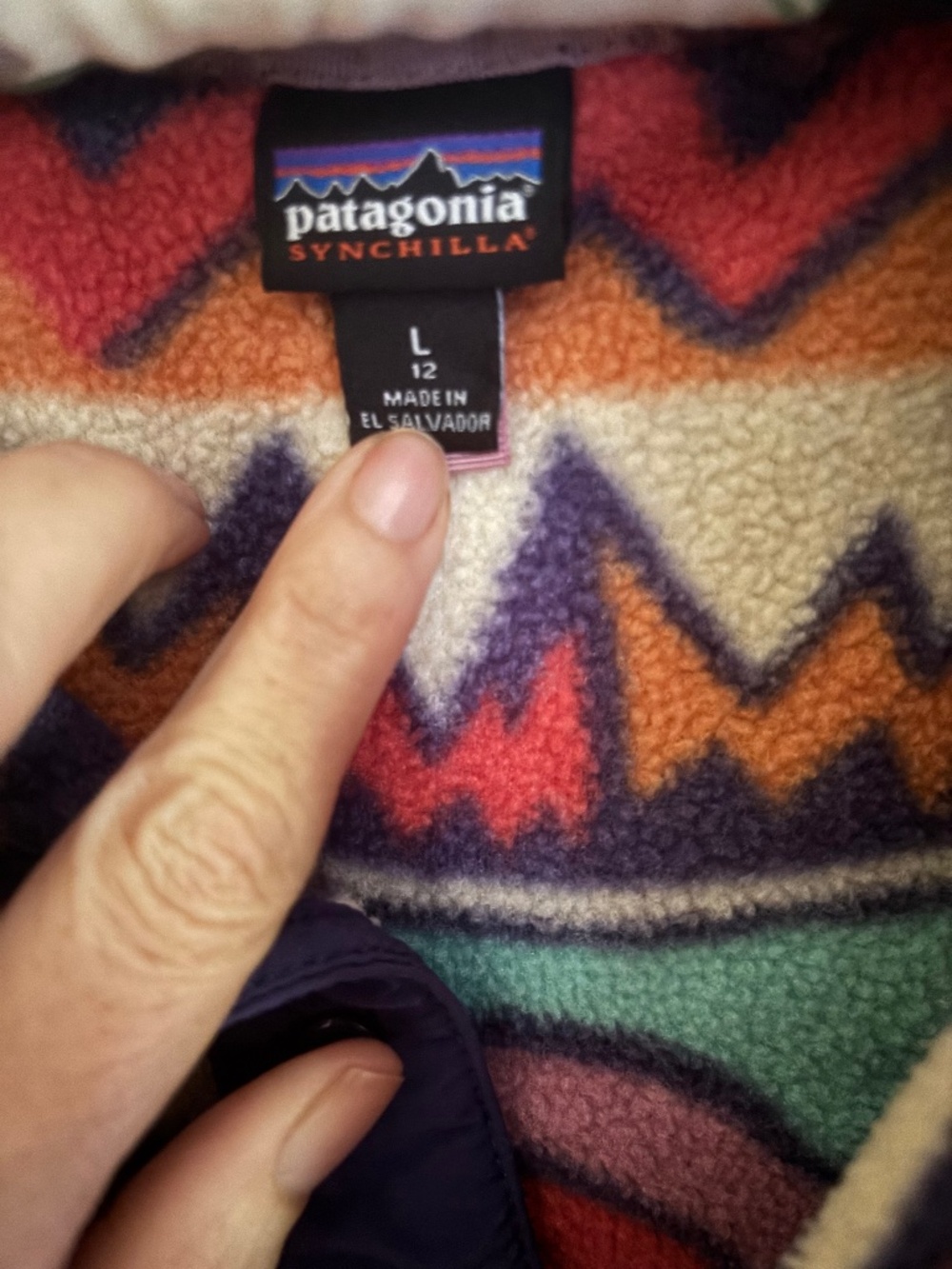 Patagonia Kids Fleece
